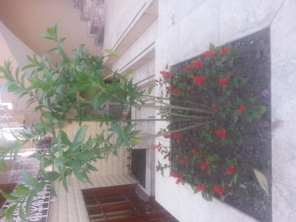Lanova Hotel Kemer Zewnętrze zdjęcie